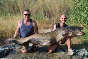 Bob and Paul and 128lb of moggie