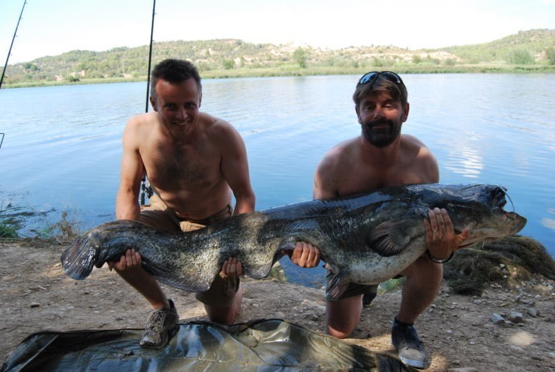 Chris 80lb