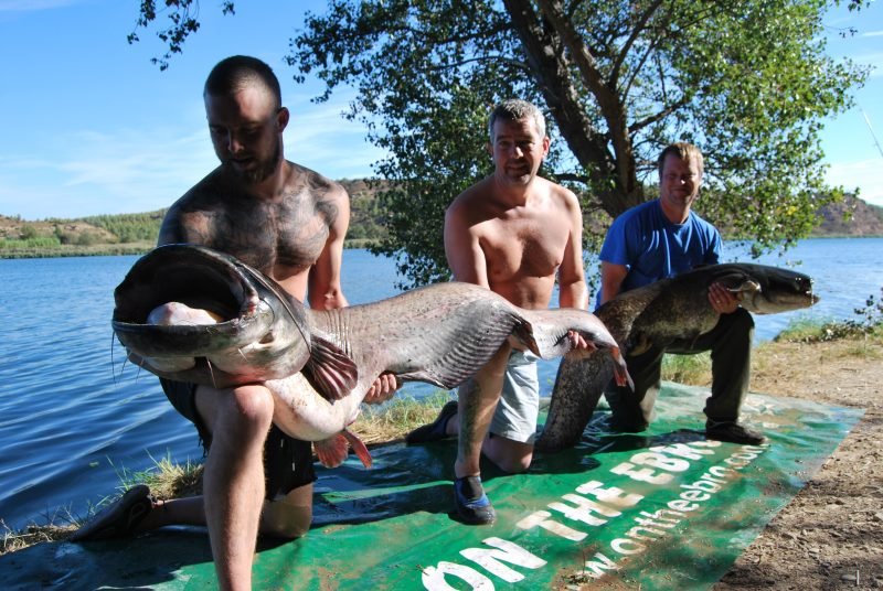 Lou 103lb