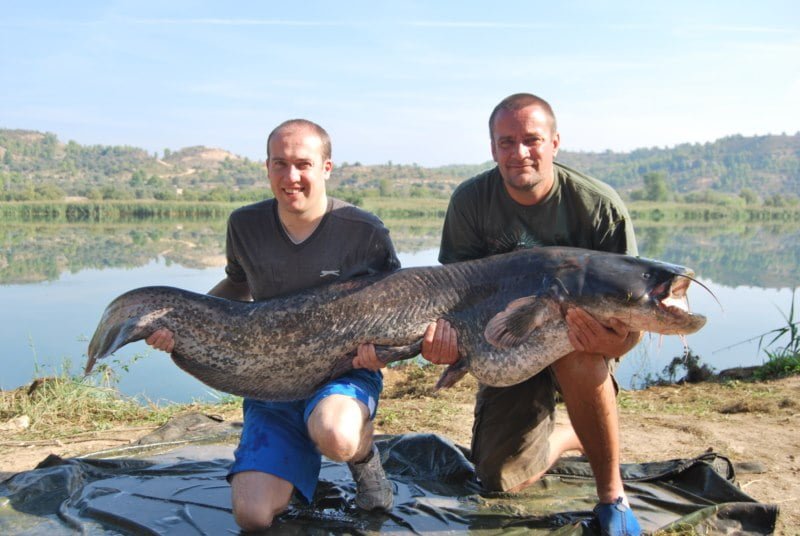 Martin 96lb