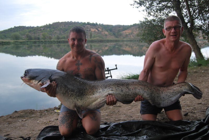 Graham 91lb