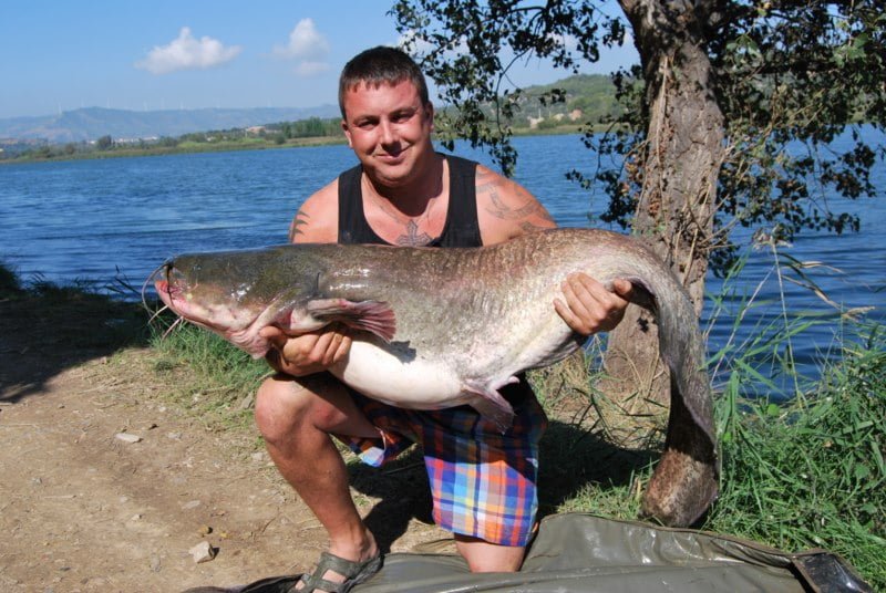 Brad 90lb