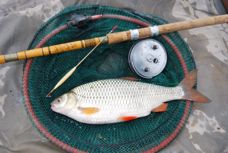 2lb 5oz