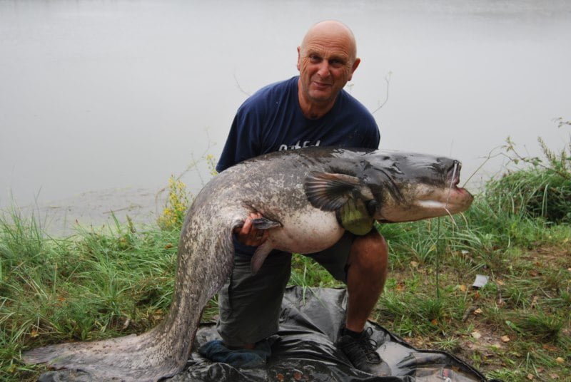 Barry 91lb