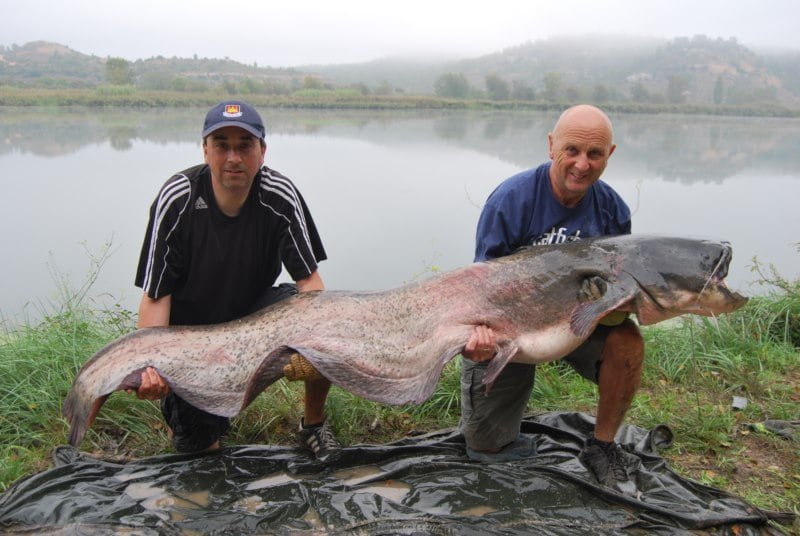 125lb Barry