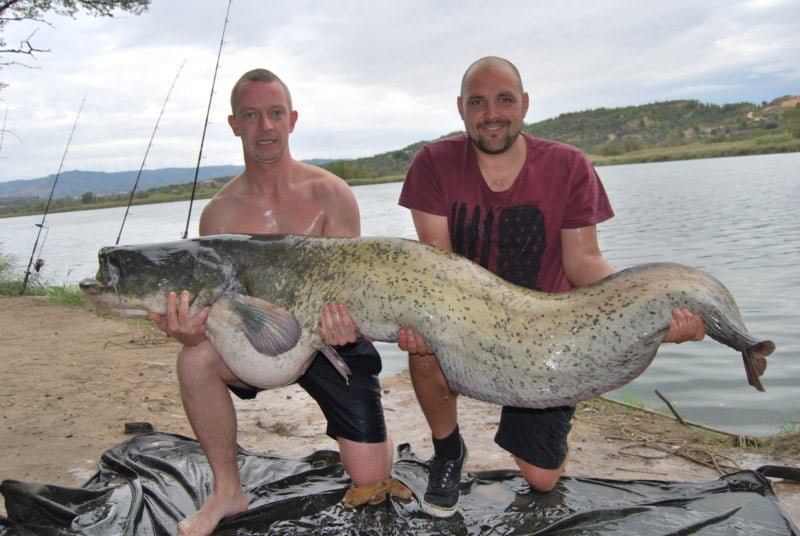 Frank 108lb