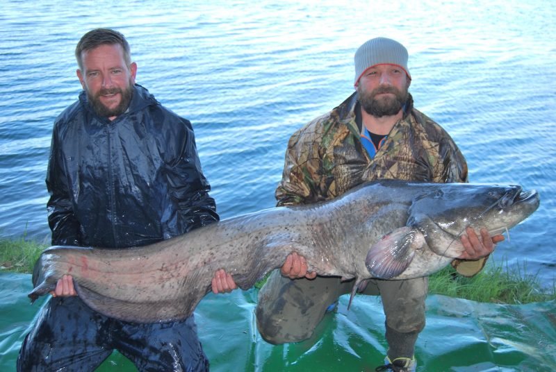Paul 84lb