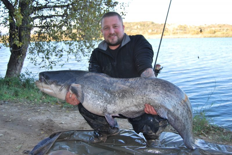 David 50lb