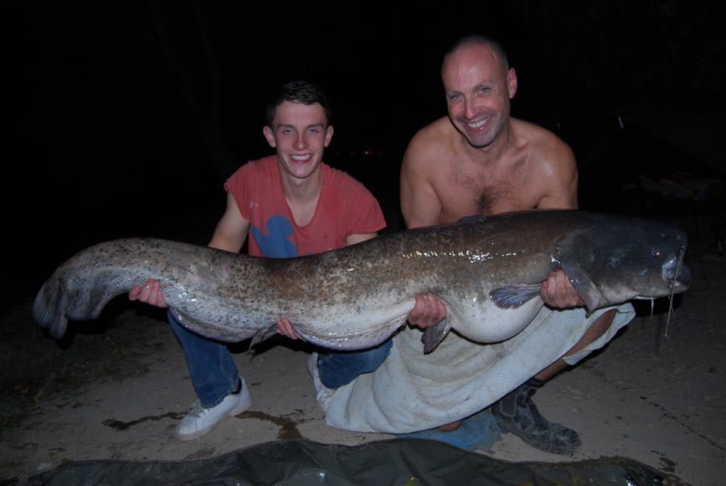 Steve 78lb