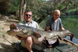 Last fish of the trip and a corker 133lb