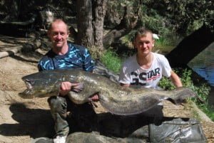 80lb just one of a huge haul of carp and cats