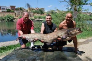 What a start, Happy Birthday  96lb