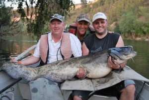 70lb for Rob
