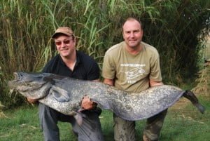 Danny never far away from the action 80lb plus