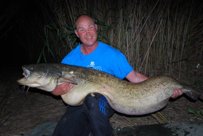 Russ 77lb