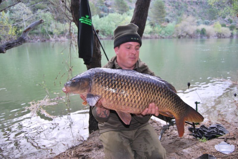 24lb 12oz