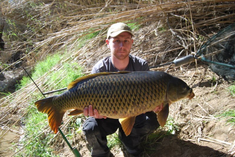 Malcolm 27lb