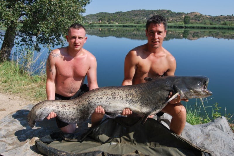 Shaun 84lb