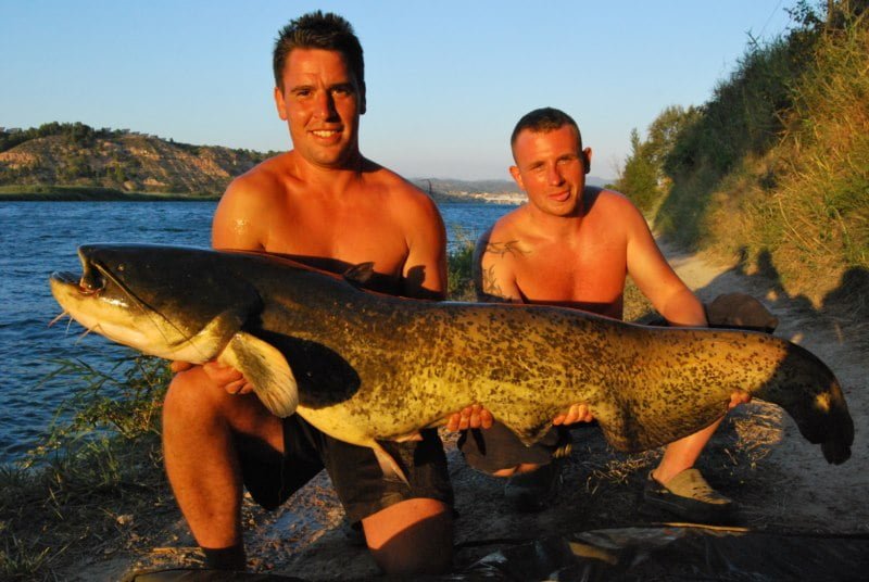 Shaun 80lb