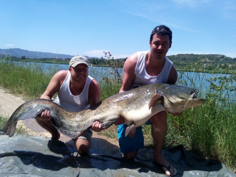 Ricky 105lb