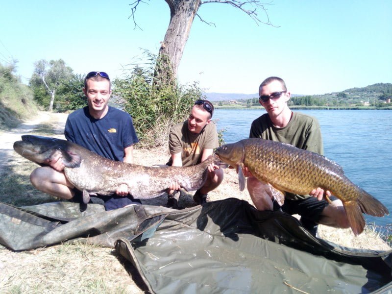 Liverpool lads 74lb and 28lb 