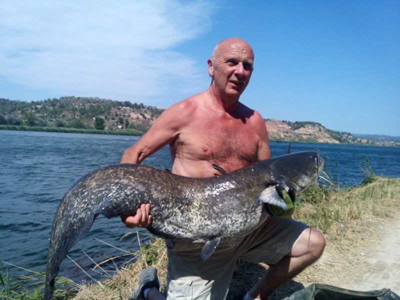 Barry 50lb