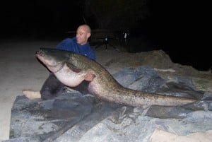 Some real wackers are lurking nearby here in Flix, this one 156lb