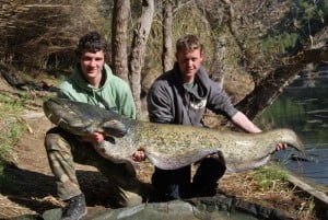 What a scrap! Jack with a cracker 90lb