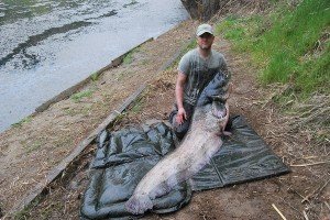 Great result for Gareth 120lb