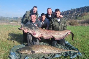 Cracking brace topped with a 140lb