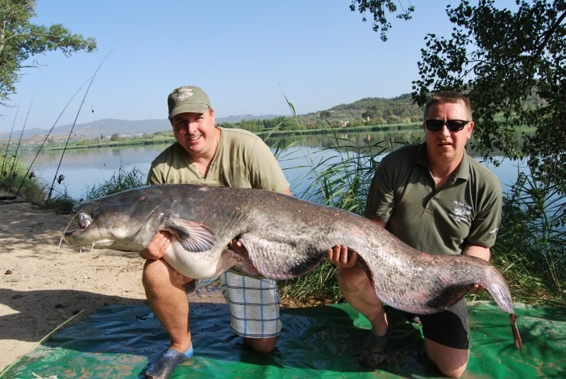 Allen 116lb