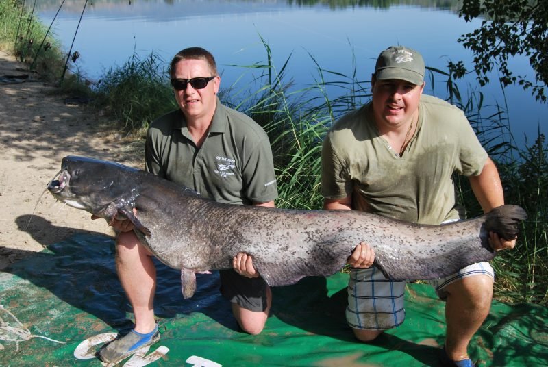 Paul 87lb