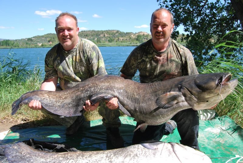 Ian 92lb