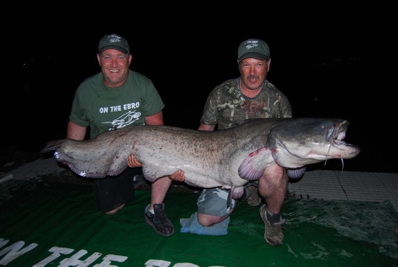 Ian 106lb