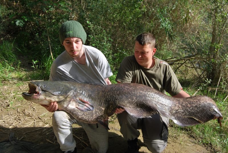 James 82lb