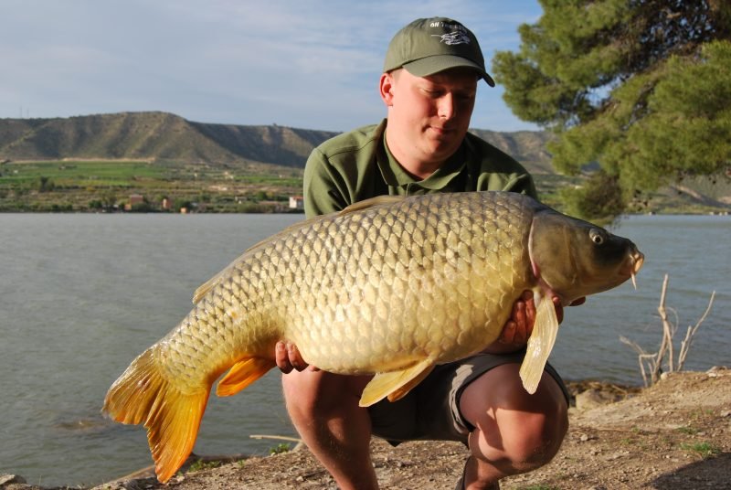 Ryan 30lb