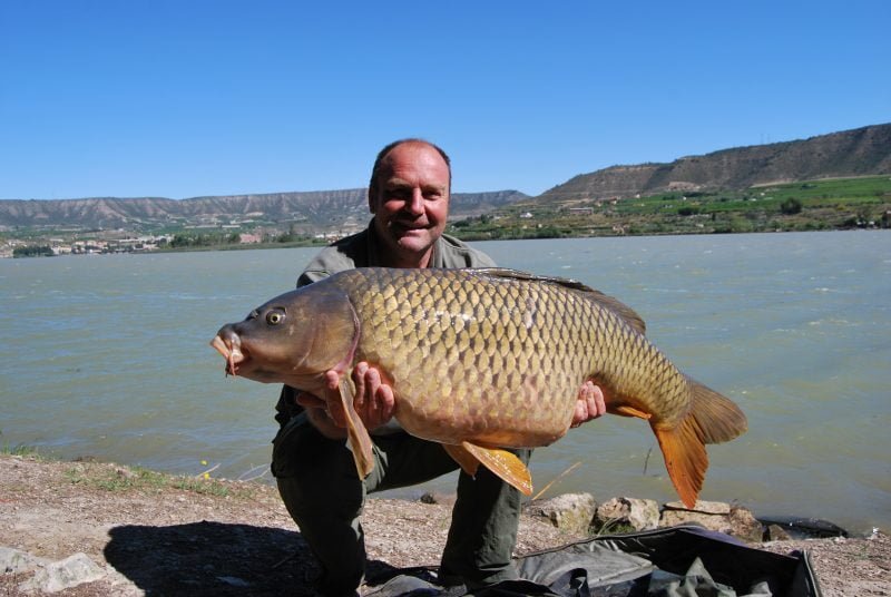 Paul 40lb 8oz