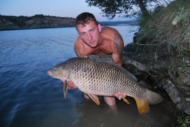 Adam 34lb