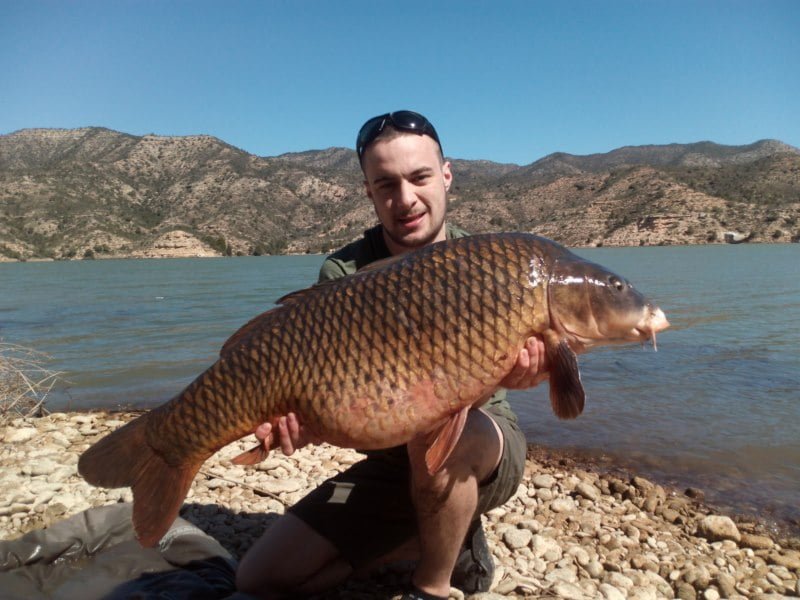 Will 34lb