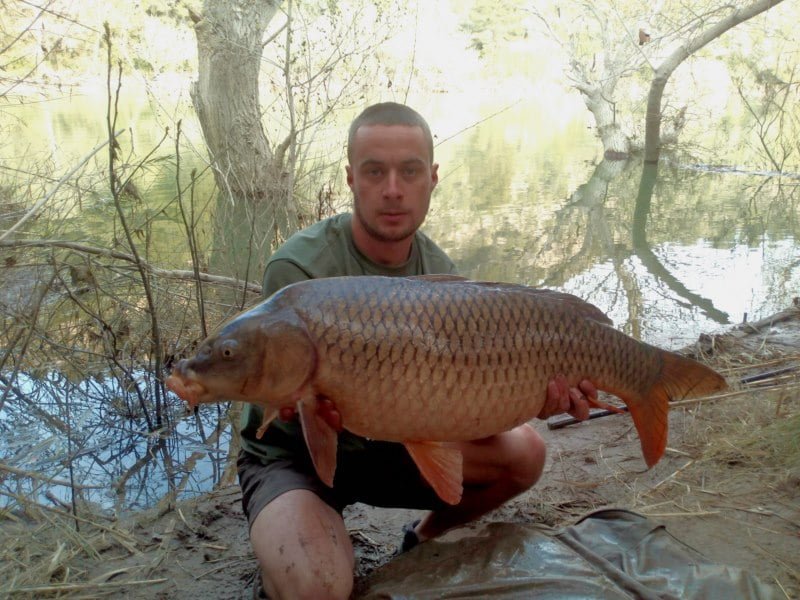 will 26lb